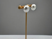 Load image into Gallery viewer, Josie Earrings