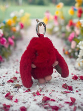 Load image into Gallery viewer, Bunny Rabbit Keyring - 10 colours