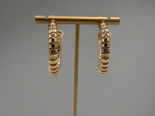 Load image into Gallery viewer, Sadie Earrings
