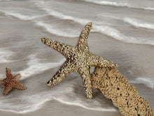 Load image into Gallery viewer, Large Starfish belt