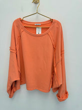 Load image into Gallery viewer, Zeta sweatshirt - 8 colours