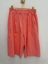 Load image into Gallery viewer, Pam magic shorts - 10 colours