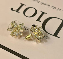 Load image into Gallery viewer, Lisa earrings - 2 colours