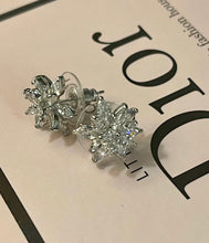 Load image into Gallery viewer, Lisa earrings - 2 colours