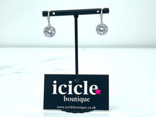 Load image into Gallery viewer, Silver Drop Earrings