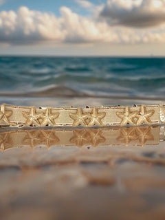 Load image into Gallery viewer, Starfish belt
