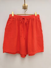 Load image into Gallery viewer, Zara shorts - 13 colours
