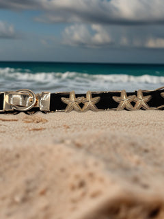 Load image into Gallery viewer, Starfish belt
