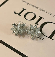 Load image into Gallery viewer, Lisa earrings - 2 colours
